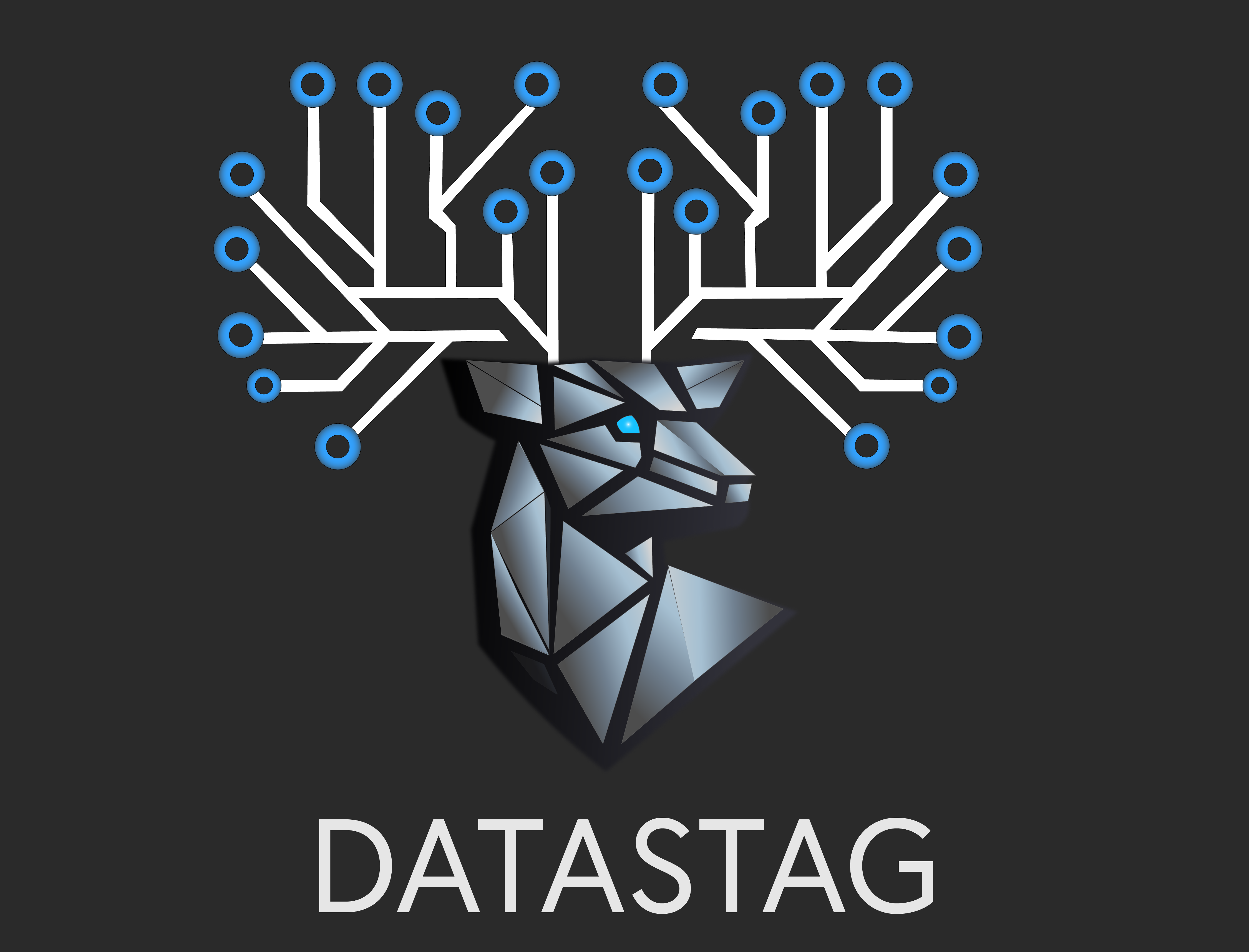 DataStag